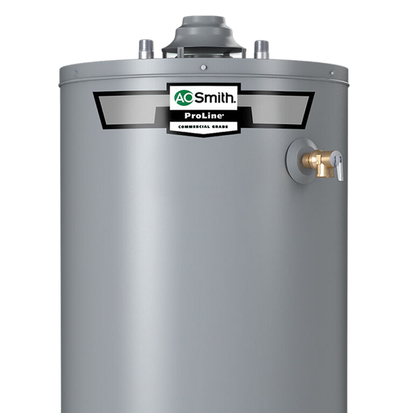 Traditional 50-Gallon ProLine® Water Heater Replacement