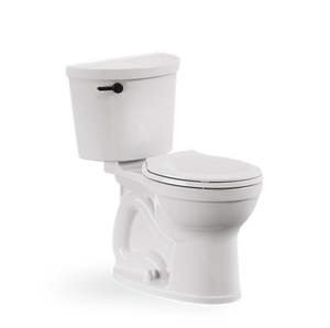 Toilet Replacement