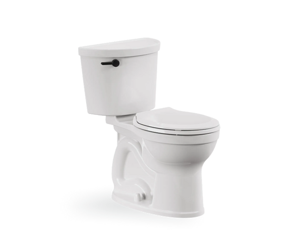 Toilet Replacement Service